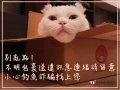 【年節送禮網購包裹多｜小心假送達簡訊詐騙】.jpg