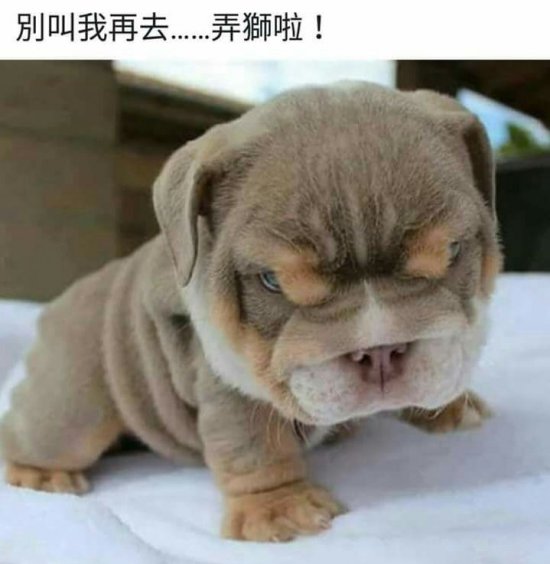 小便斗故障