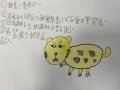 林希蕎.JPG