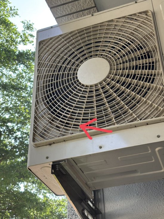 麻雀卡在冷氣室外機網子內