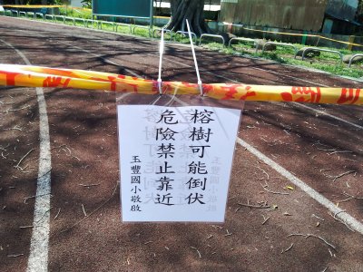 IMG_20240704_094552.jpg