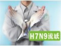 H7N9專區 pic