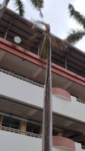 801370.jpg
