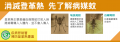 登革熱宣導1.png