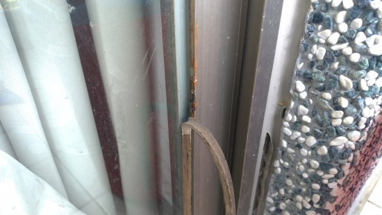 教務處落地窗之膠條脫落