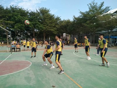 309719.jpg