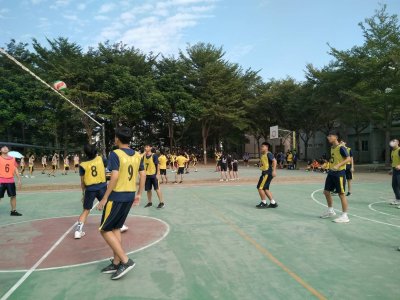 309721.jpg