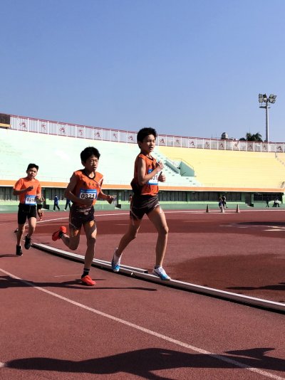 S__84435034.jpg