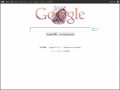 Google 搜尋 pic