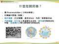 13年校園宣導-修-確定-19-36_page-0002.jpg