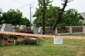 dip__DSC2555.jpg