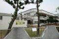 dip__DSC2557.jpg