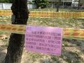 112危樹公告2.JPG