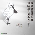 預防新A流你我做得到.jpg