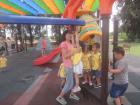 dscn6231.jpg
