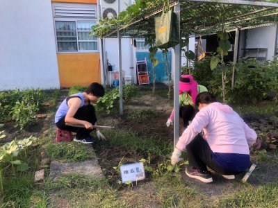 4.志工團隊除草整地.jpg