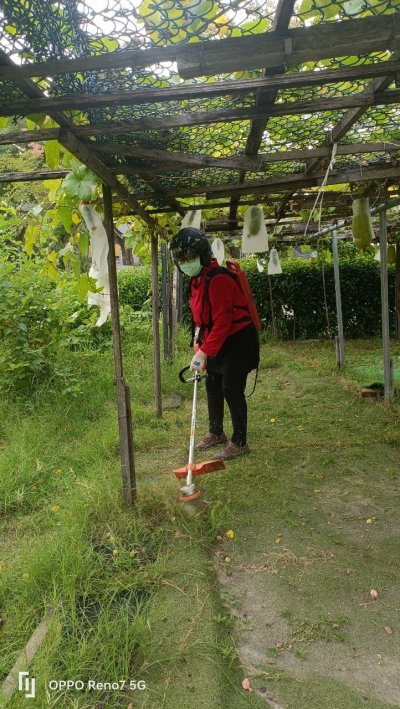 5.志工協助除草.jpg