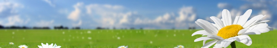 Web Title:111 學年度 website