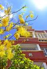 20200603_200604_0024.jpg