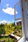 20200603_200604_0027.jpg