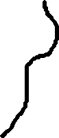 頭髮.png