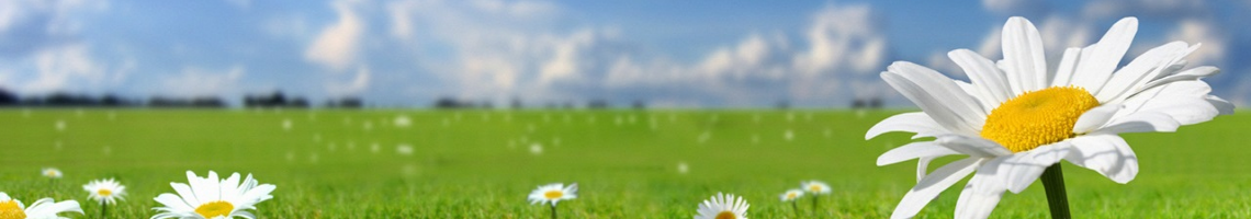 Web Title:教務處