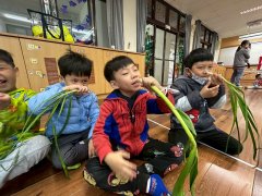閩南語暨清明節包潤餅