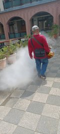 386977.jpg