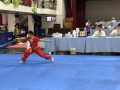 20180318臺南市中小學武術錦標賽 pic