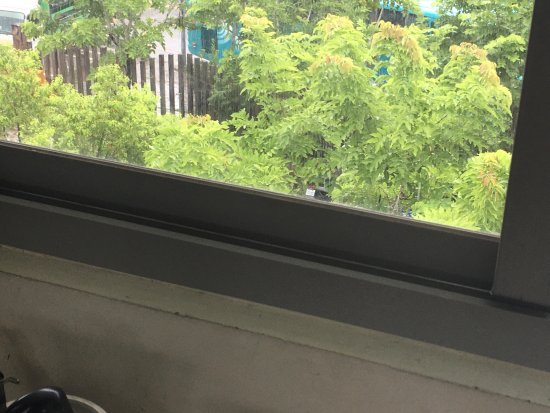 602窗戶滾輪損壞  難以打開窗戶