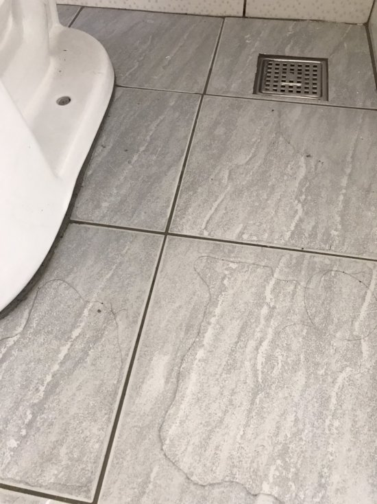 太陽班內老師廁所積水