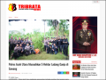 https://tribratanewsacehutara.com/2023/10/06/polres-aceh-utara-musnahkan-5-hektar-ladang-ganja-di-sawang/ pic