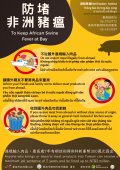 防堵非洲豬瘟多國語言宣導單.jpg