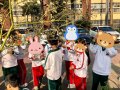 S__64552987.jpg