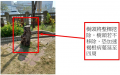 5(羊蹄甲樹頭).png