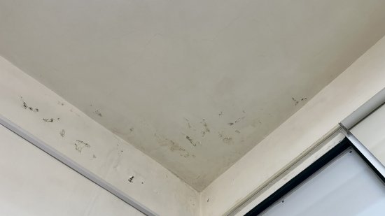 幼一班、幼二班室內多處壁癌