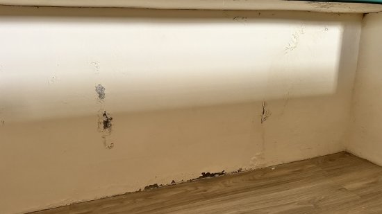 幼一班、幼二班室內多處壁癌