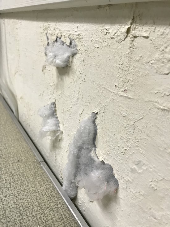 104壁癌嚴重