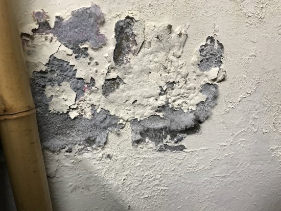 104壁癌嚴重