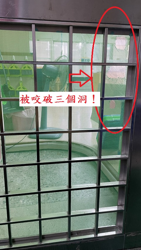 幼一班教室前門紗門破(希望前後門皆能換成不鏽鋼網)
