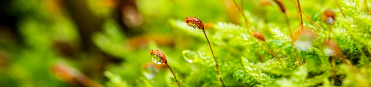 滑動圖 (default1.png)