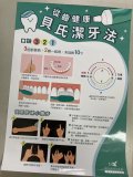 貝氏刷牙法.jpg