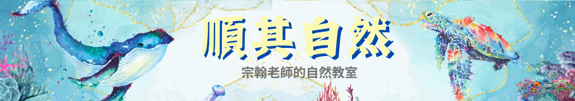 Web Title:呂宗翰的專用網頁