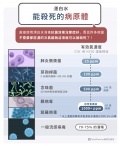 漂白水_殺死的病原體.png