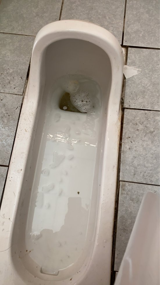 一棟三樓東側廁所第一間女便斗塞住