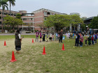 515152_0.jpg