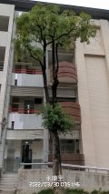 20220330-T01.jpg