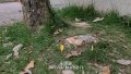 20220330-T03.jpg