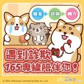 241211_法務部_反詐騙_圖_01_定稿.jpg