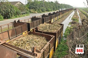 9號裝蔗場已經停了許多等待回糖廠的蔗箱車